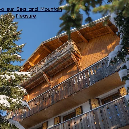 Alpe Two - Sea And Mountain Pleasure 12p- Pieds Des Pistes- Centre - Jacuzzi - Sauna - 5 - 5 Salle De Bains Apartment Alpe d'Huez